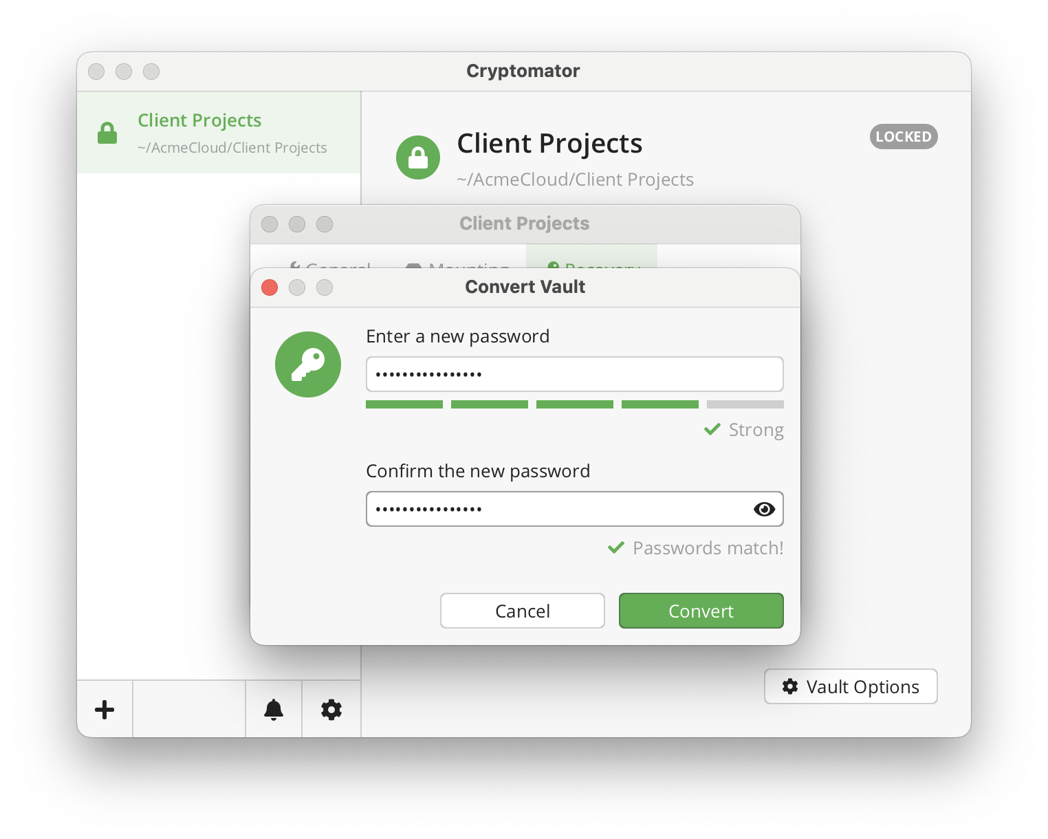 Convert vault enter new password